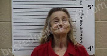 NICHOLS, MARY SUE BROWN | 2026-04-11 16:16:00 Cherokee County, North Carolina Booking