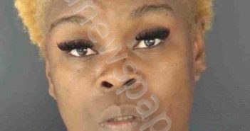 ELLINGTON, KEIONTAY | 2026-04-11 Sarasota County, Florida Booking