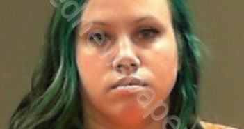 BARNHART, VANESSA JONE | 2026-04-11 00:40:00 Brooke County, West Virginia Booking