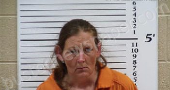 LEONARD, PRISCILLA MARIE | 2026-04-12 06:41:00 Cherokee County, North Carolina Booking