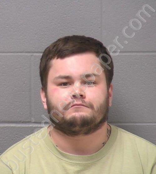 TROCHE, DYLAN E #, Will County, Illinois - 2026-04-12 00:38:00