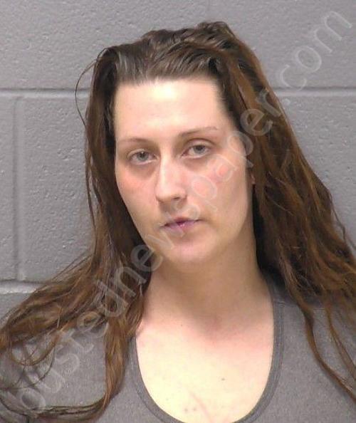 GURNITZ, MADELINE E #, Will County, Illinois - 2026-04-12 02:37:00