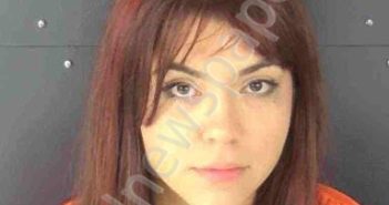 DUFFINA, DAKOTA | 2026-04-12 Sarasota County, Florida Booking