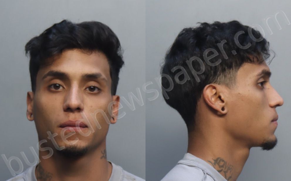 LOBOGOMEZ, JORGE #, Miami-Dade County, Florida - 2026-04-13 17:35:00