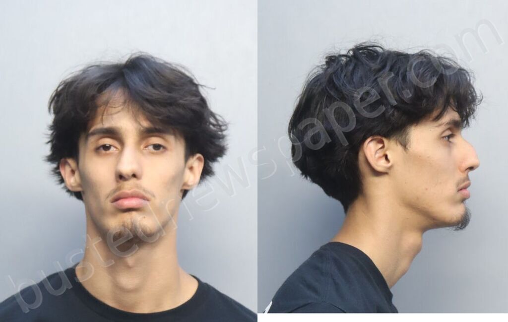 NIETO, DAVID LUIS #, Miami-Dade County, Florida - 2026-04-13 19:53:00