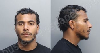 CASTELLANOS, EFRAIN | 2026-04-13 18:03:00 Miami-Dade County, Florida Booking