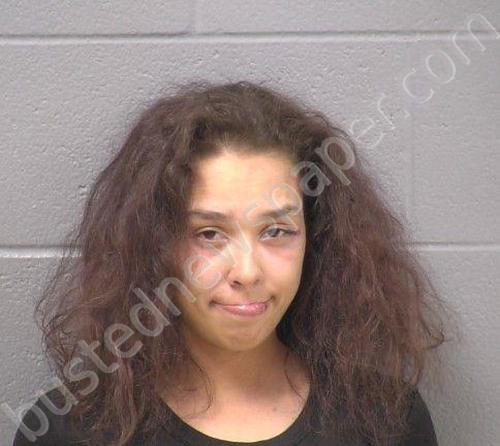 BATTLE, NADIA D #, Will County, Illinois - 2026-04-13 23:26:00