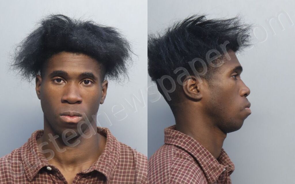 DAVIDSON, NICHOLAS CARLTON #, Miami-Dade County, Florida - 2026-04-13 18:35:00