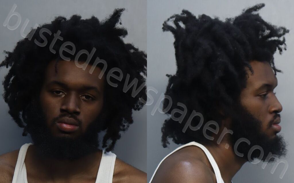 PAGE, JOSEPH LAPOLEON #, Miami-Dade County, Florida - 2026-04-13 17:29:00