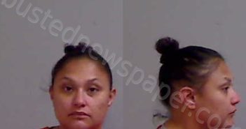 SALINAS, MICHELLE LEE | 2026-04-13 Hidalgo County, Texas Booking