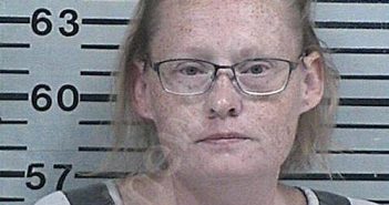 WILLIAMS, SHELLIE RENEE | 2026-04-14 18:03:00 Hood County, Texas Booking