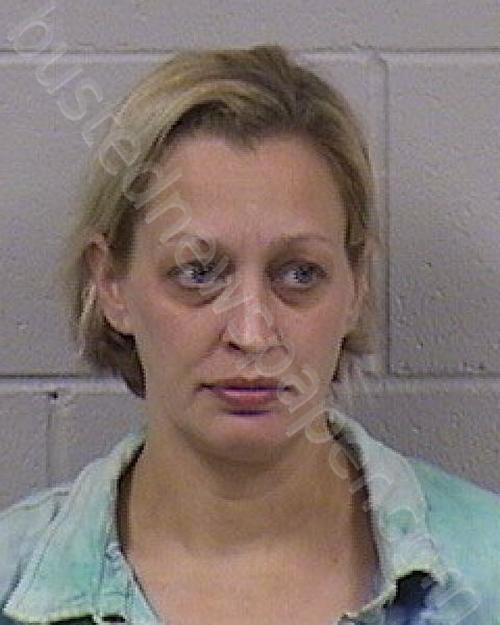 NAPOLEONE, ALICIA MARIE #, Dickinson County, Kansas - 2026-04-15 22:26:00