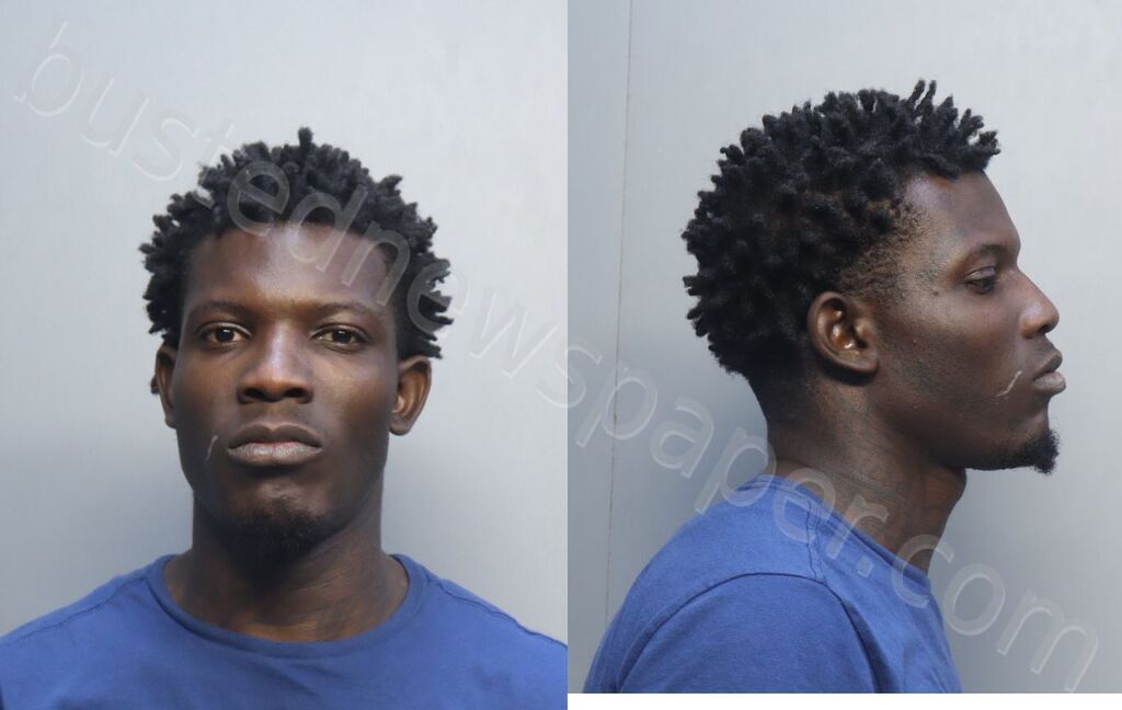 JENKINS, ZORRIAN TREMAINE #, Miami-Dade County, Florida - 2026-04-15 20:24:00