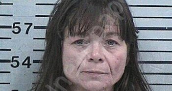 BLAND, JACQUELINE ELIZABETH | 2026-04-15 19:13:30 Hood County, Texas Booking