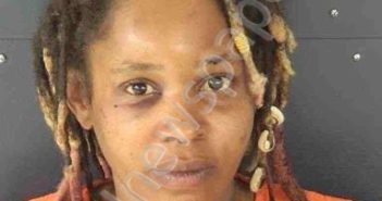 GRIFFITH, BRITTANY | 2026-04-15 Sarasota County, Florida Booking