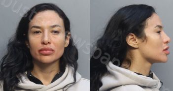 <B>MARTINEZGOMES</B>, <B>YARENIS</B> <B>DAISYALEXIA</B> #, Miami-Dade County, Florida - 2026-04-16 21:06:00