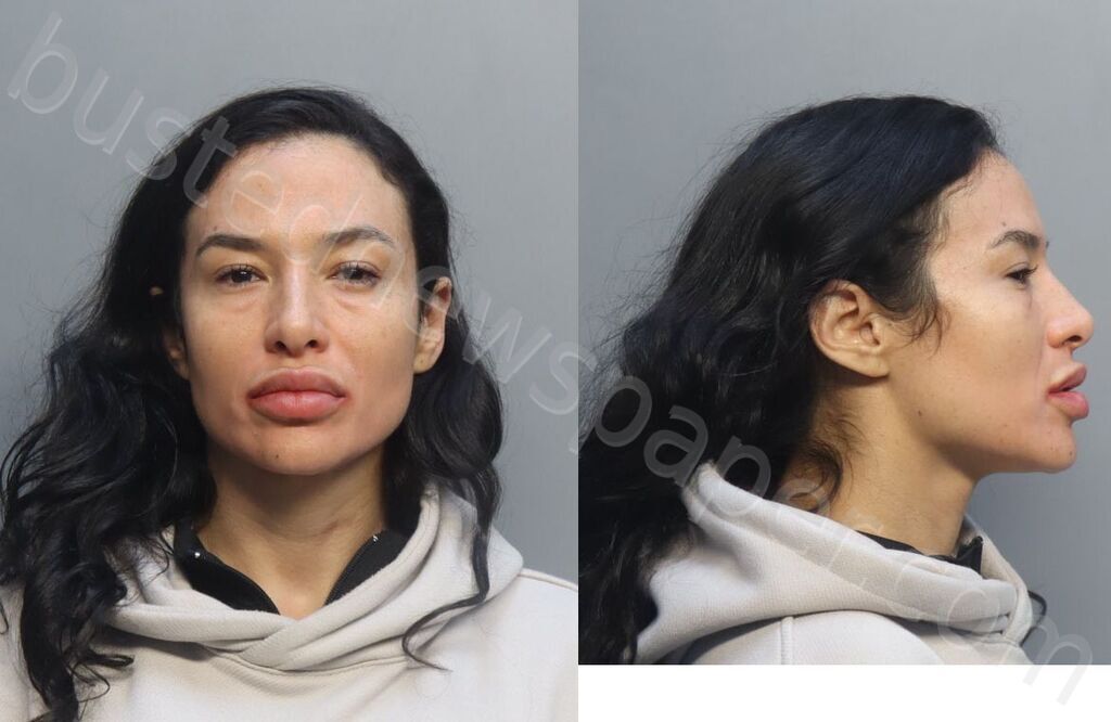 MARTINEZGOMES, YARENIS DAISYALEXIA #, Miami-Dade County, Florida - 2026-04-16 21:06:00