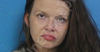 BRADLEY, STEPHANIE LEANNE | 2026-04-16 14:59:35 Sullivan County, Tennessee Booking