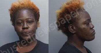 ANTONIO, KAMESHIA ELIZABETH | 2026-04-16 19:00:00 Miami-Dade County, Florida Booking