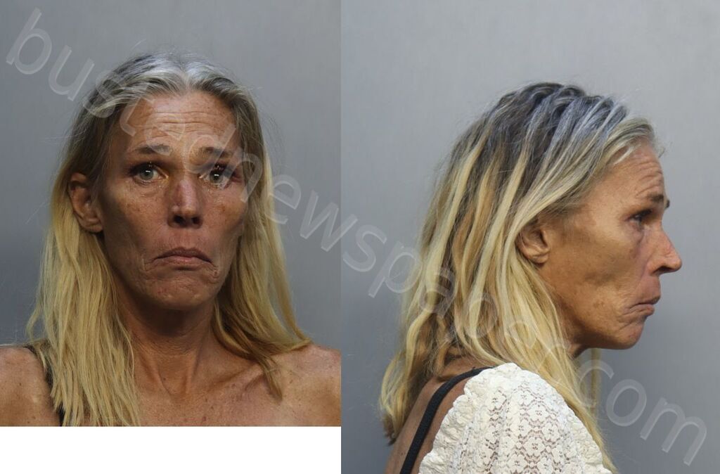 HILL, JENNIFER CHRISTINE #, Miami-Dade County, Florida - 2026-04-16 20:49:00