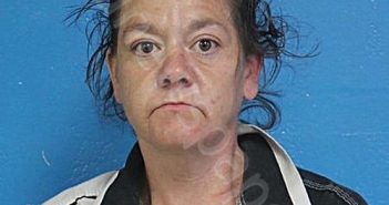 ROWE, SHERRY JEAN | 2026-04-16 17:13:00 Sullivan County, Tennessee Booking