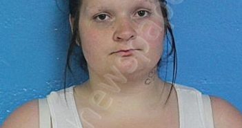 DEAN, SAVANNAH KATELYN | 2026-04-16 15:10:00 Sullivan County, Tennessee Booking