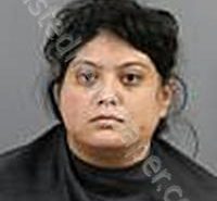 GONZALEZ, ALEXIS ELIZABETH | 2026-04-16 Anderson County, South Carolina Booking