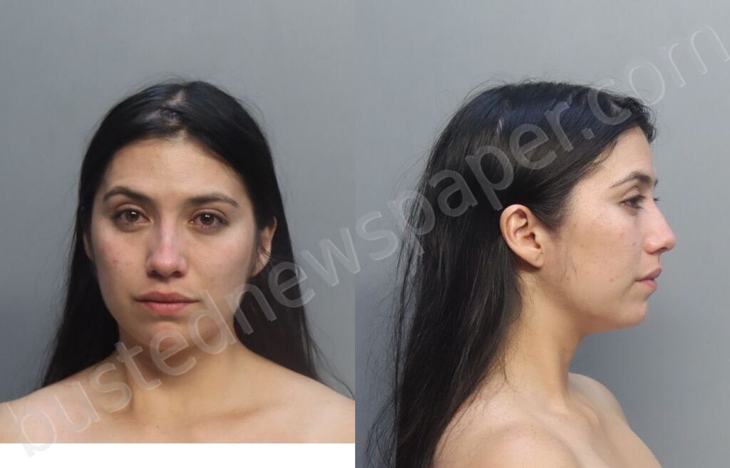 RINEDOLLER, MARIA #, Miami-Dade County, Florida - 2026-04-16 20:28:00