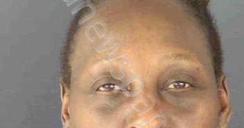 THOMAS, TANZANIA | 2026-04-16 Sarasota County, Florida Booking