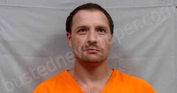 STEELE, LOUIE EUGENE | 2026-04-17 21:20:00 Wyoming County, West Virginia Booking