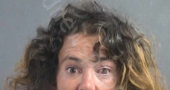 ALLESSANDRO, AMY MARIE | 2026-04-17 19:40:00 Volusia County, Florida Booking