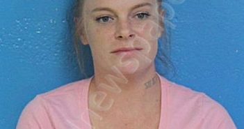 SHELLEY, MARTHA MARIE | 2026-04-17 12:07:00 Sullivan County, Tennessee Booking