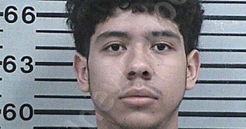 ZELAYA, MARVYN | 2026-04-17 18:21:50 Hood County, Texas Booking