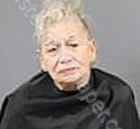 WHITT, CHRISTY LYNN | 2026-04-17 Anderson County, South Carolina Booking