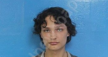 REYNOLDS, JUNIOR JAMES | 2026-04-17 12:50:00 Sullivan County, Tennessee Booking