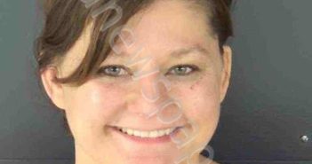 BUNTON, ALINA | 2026-04-18 Sarasota County, Florida Booking