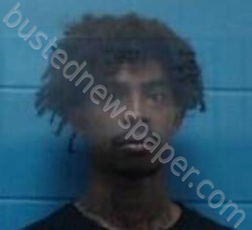 SIMEON TYRE HOUSTON #, Kemper County, Mississippi - 2026-04-19 19:00:00