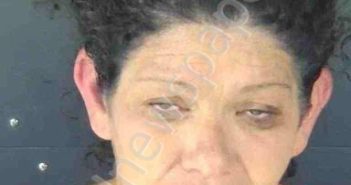 WEST, CHRISTINA | 2026-04-21 Sarasota County, Florida Booking