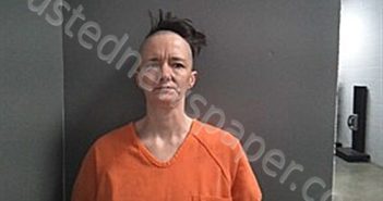 SLAYTON, SARAH BETH | 2026-04-22 19:23:00 Fulton County, Arkansas Booking
