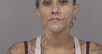 TORRES, JESSICA | 2026-04-22 Johnston County, North Carolina Booking