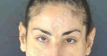 DELGADO, ANGELA | 2026-04-23 Sarasota County, Florida Booking