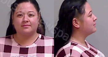 BRISENO, ISAURA | 2026-04-23 Hidalgo County, Texas Booking