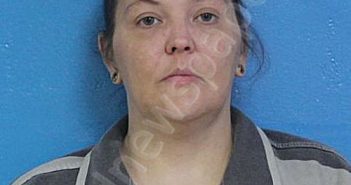 CHILDRESS, JOHNNIE DANIELLE | 2026-04-23 10:51:14 Sullivan County, Tennessee Booking
