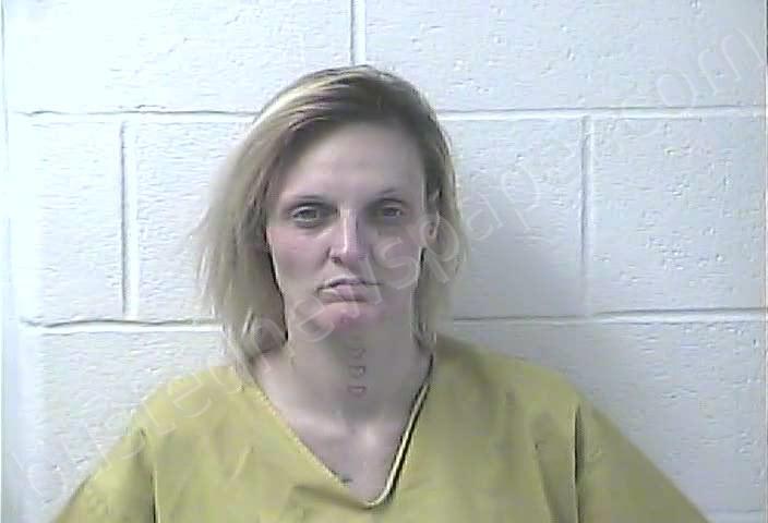 WHITLEDGE, LACEY ELESE #, Daviess County, Kentucky - 2026-04-23 23:44:00