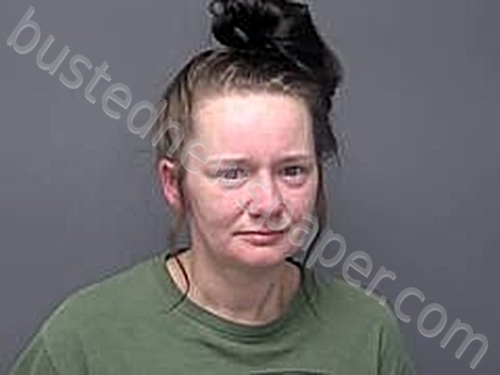 ARIEL DAWN BECK #, Baxter County, Arkansas - 2026-04-23 19:31:00