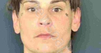 DELGADO, ALICIA | 2026-04-24 Sarasota County, Florida Booking