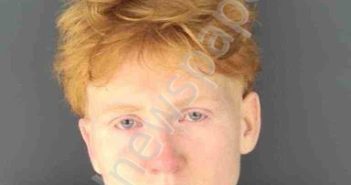 LEE, MEGAN | 2026-04-25 Sarasota County, Florida Booking