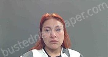 OSORIO GARCIA, MARLEN GABRIELA | 2026-04-27 22:09:00 Cameron Parish, Louisiana Booking