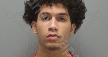 <B>PEREZ</B>, JOEL <B>MARIO</B> #, Lee County, Florida - 2026-04-27 00:42:00