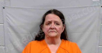 VANCE, MARGARET ANN | 2026-04-28 15:45:00 Wyoming County, West Virginia Booking